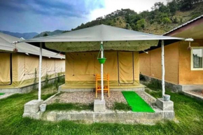 Craziy Cub Camp